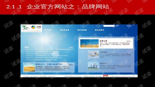 淘寶電子商務運營解決方案